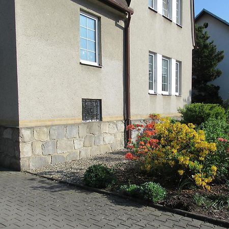 Penzion D Vikýřovice Eksteriør billede